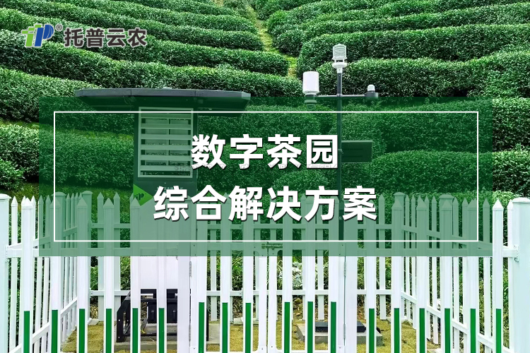 智慧茶園綜合解決方案