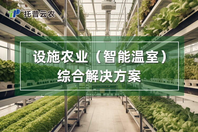 設施農(nóng)業(yè)（智能溫室）綜合解決方案