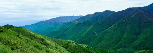 智慧護(hù)林有妙招，看太子山如何用科技守護(hù)森林