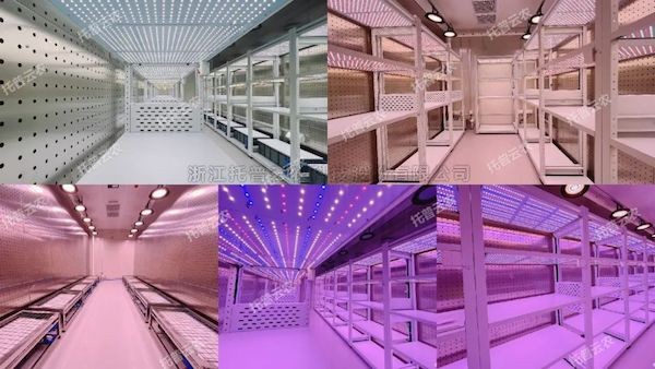 創(chuàng)新不止，煥新未來！托普云農(nóng)人工氣候室全面升級