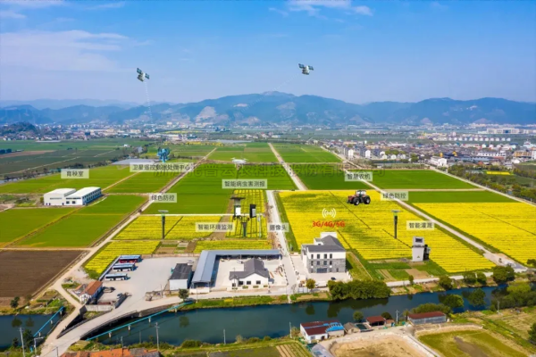 首提“農(nóng)業(yè)新質(zhì)生產(chǎn)力”，2025年中央一號文件在智慧農(nóng)業(yè)領(lǐng)域傳遞了哪些重要信號？
