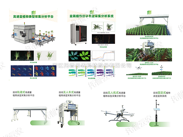 AI+農(nóng)業(yè)新突破！托普高通量植物表型智能分析平臺助力智慧農(nóng)業(yè)創(chuàng)新發(fā)展