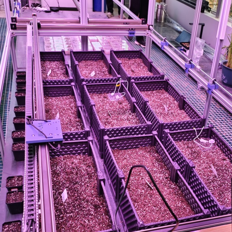 人工氣候室植物表型監(jiān)測系統(tǒng)TPN-PlantPhy