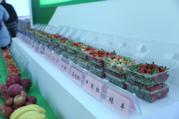 推介會(huì)現(xiàn)場