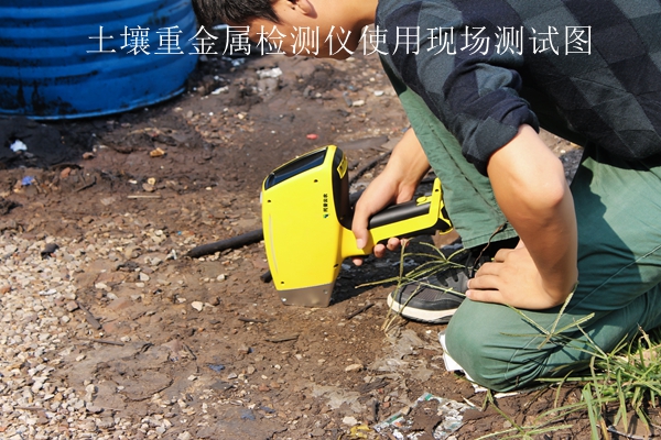 土壤重金屬檢測(cè)儀使用現(xiàn)場(chǎng)測(cè)試圖