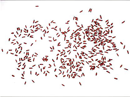 1、水稻表型檢測系統(tǒng)-水稻數(shù)粒圖.png
