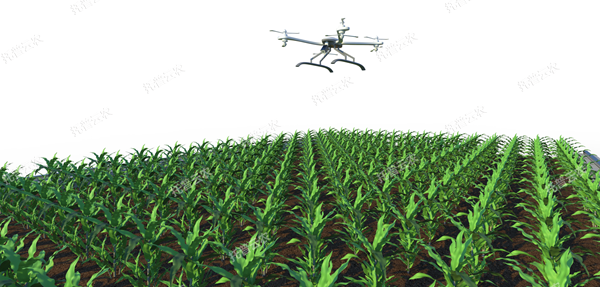 田間無人機(jī)式植物高通量表型采集分析平臺_600.png